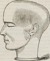 An illustration from Marriage, its history and ceremonies : with a phrenological and physiological exposition of the functions and qualifications for happy marriages (1848)