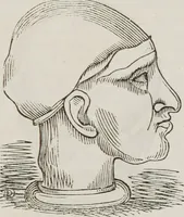 An illustration from Marriage, its history and ceremonies : with a phrenological and physiological exposition of the functions and qualifications for happy marriages (1848)