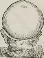 An illustration from Marriage, its history and ceremonies : with a phrenological and physiological exposition of the functions and qualifications for happy marriages (1848)
