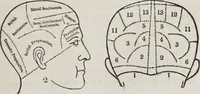 An illustration from Marriage, its history and ceremonies : with a phrenological and physiological exposition of the functions and qualifications for happy marriages (1848)