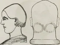 An illustration from Marriage, its history and ceremonies : with a phrenological and physiological exposition of the functions and qualifications for happy marriages (1848)