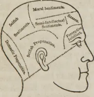 An illustration from Matrimony, or, Phrenology and physiology applied to the selection of congenial companions for life : including directions to the married for living together affectionately and happily (1851)