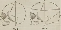 An illustration from Matrimony, or, Phrenology and physiology applied to the selection of congenial companions for life : including directions to the married for living together affectionately and happily (1851)