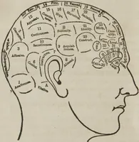 An illustration from Matrimony, or, Phrenology and physiology applied to the selection of congenial companions for life : including directions to the married for living together affectionately and happily (1851)