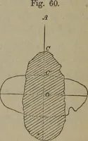 An illustration from Elements of natural philosophy (Volume 1) (1850)