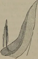An illustration from Elements of natural philosophy (Volume 1) (1850)