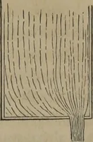 An illustration from Elements of natural philosophy (Volume 1) (1850)