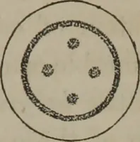 An illustration from Elements of natural philosophy (Volume 2-3) (1850)