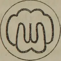 An illustration from Elements of natural philosophy (Volume 2-3) (1850)