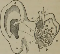 An illustration from Elements of natural philosophy (Volume 2-3) (1850)
