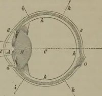 An illustration from Elements of natural philosophy (Volume 2-3) (1850)