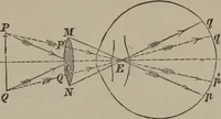 Picture 98 of 164 from Elements of natural philosophy (Volume 2-3) (1850), leaf 248