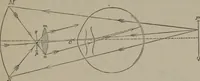 Picture 110 of 164 from Elements of natural philosophy (Volume 2-3) (1850), leaf 262