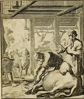 Picture 44 of 141 from Spiegel van het menselyk bedryf: vertoonende honderd verscheiden ambachten, konstig afgebeeld en met godlyke spreuken en stichtelyke verzen verryke (1730), leaf 97