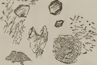 An illustration from Illustrations of disease with the microscope. clinical investigations, aided by the microscope, and by chemical reagents, with microscopical observations of pathological specimens, medical and surgical, obtained in Charleston, S.C. : a contribution intended to disclose the minute history of the diseases prevailing in this latitude, and to assist future students (1861)