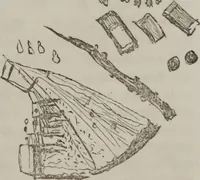 An illustration from Illustrations of disease with the microscope. clinical investigations, aided by the microscope, and by chemical reagents, with microscopical observations of pathological specimens, medical and surgical, obtained in Charleston, S.C. : a contribution intended to disclose the minute history of the diseases prevailing in this latitude, and to assist future students (1861)