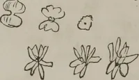 An illustration from Illustrations of disease with the microscope. clinical investigations, aided by the microscope, and by chemical reagents, with microscopical observations of pathological specimens, medical and surgical, obtained in Charleston, S.C. : a contribution intended to disclose the minute history of the diseases prevailing in this latitude, and to assist future students (1861)