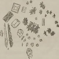 An illustration from Illustrations of disease with the microscope. clinical investigations, aided by the microscope, and by chemical reagents, with microscopical observations of pathological specimens, medical and surgical, obtained in Charleston, S.C. : a contribution intended to disclose the minute history of the diseases prevailing in this latitude, and to assist future students (1861)