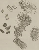 An illustration from Illustrations of disease with the microscope. clinical investigations, aided by the microscope, and by chemical reagents, with microscopical observations of pathological specimens, medical and surgical, obtained in Charleston, S.C. : a contribution intended to disclose the minute history of the diseases prevailing in this latitude, and to assist future students (1861)