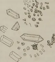An illustration from Illustrations of disease with the microscope. clinical investigations, aided by the microscope, and by chemical reagents, with microscopical observations of pathological specimens, medical and surgical, obtained in Charleston, S.C. : a contribution intended to disclose the minute history of the diseases prevailing in this latitude, and to assist future students (1861)
