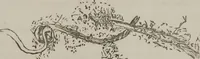 An illustration from Illustrations of disease with the microscope. clinical investigations, aided by the microscope, and by chemical reagents, with microscopical observations of pathological specimens, medical and surgical, obtained in Charleston, S.C. : a contribution intended to disclose the minute history of the diseases prevailing in this latitude, and to assist future students (1861)