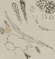 An illustration from Illustrations of disease with the microscope. clinical investigations, aided by the microscope, and by chemical reagents, with microscopical observations of pathological specimens, medical and surgical, obtained in Charleston, S.C. : a contribution intended to disclose the minute history of the diseases prevailing in this latitude, and to assist future students (1861)