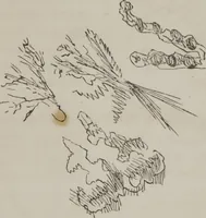 Picture 50 of 58 from Illustrations of disease with the microscope. clinical investigations, aided by the microscope, and by chemical reagents, with microscopical observations of pathological specimens, medical and surgical, obtained in Charleston, S.C. : a contribution intended to disclose the minute history of the diseases prevailing in this latitude, and to assist future students (1861), leaf 132