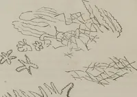 An illustration from Illustrations of disease with the microscope. clinical investigations, aided by the microscope, and by chemical reagents, with microscopical observations of pathological specimens, medical and surgical, obtained in Charleston, S.C. : a contribution intended to disclose the minute history of the diseases prevailing in this latitude, and to assist future students (1861)
