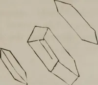 An illustration from Illustrations of disease with the microscope. clinical investigations, aided by the microscope, and by chemical reagents, with microscopical observations of pathological specimens, medical and surgical, obtained in Charleston, S.C. : a contribution intended to disclose the minute history of the diseases prevailing in this latitude, and to assist future students (1861)