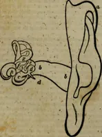 An illustration from A Dictionary of science, literature, and art [electronic resource]: comprising the history, description, and scientific principles of every branch of human knowledge; with the derivation and definition of all the terms in general use (1844)