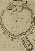 An illustration from A Dictionary of science, literature, and art [electronic resource]: comprising the history, description, and scientific principles of every branch of human knowledge; with the derivation and definition of all the terms in general use (1844)