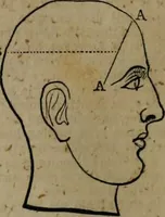 An illustration from A Dictionary of science, literature, and art [electronic resource]: comprising the history, description, and scientific principles of every branch of human knowledge; with the derivation and definition of all the terms in general use (1844)