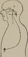 An illustration from The mysteries of human nature explained by a new system of nervous physiology : to which is added, a review of the errors of spiritualism, and instructions for developing or resisting the influence by which subjects and mediums are made (1857)