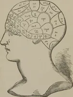 An illustration from The mysteries of human nature explained by a new system of nervous physiology : to which is added, a review of the errors of spiritualism, and instructions for developing or resisting the influence by which subjects and mediums are made (1857)