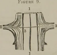 Picture 8 of 65 from The mysteries of human nature explained by a new system of nervous physiology : to which is added, a review of the errors of spiritualism, and instructions for developing or resisting the influence by which subjects and mediums are made (1857), leaf 55