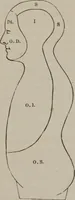 Picture 9 of 65 from The mysteries of human nature explained by a new system of nervous physiology : to which is added, a review of the errors of spiritualism, and instructions for developing or resisting the influence by which subjects and mediums are made (1857), leaf 66
