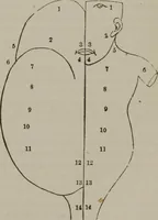 An illustration from The mysteries of human nature explained by a new system of nervous physiology : to which is added, a review of the errors of spiritualism, and instructions for developing or resisting the influence by which subjects and mediums are made (1857)