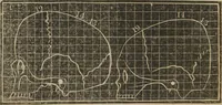 An illustration from A guide to phrenology : designed to illustrate the science of the human mind as manifested through the brain : embracing the fundamental principles of phrenology : its utility to parents and teachers in developing and educating the mental faculties of the rising generation, and of self improvement : together with the adaptation of each of the organs and a phrenological chart, in seven degrees of development with numerous combinations (1842)