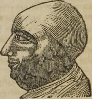 An illustration from A guide to phrenology : designed to illustrate the science of the human mind as manifested through the brain : embracing the fundamental principles of phrenology : its utility to parents and teachers in developing and educating the mental faculties of the rising generation, and of self improvement : together with the adaptation of each of the organs and a phrenological chart, in seven degrees of development with numerous combinations (1842)