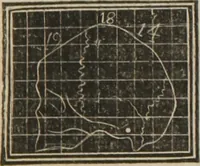 Picture 11 of 16 from A guide to phrenology : designed to illustrate the science of the human mind as manifested through the brain : embracing the fundamental principles of phrenology : its utility to parents and teachers in developing and educating the mental faculties of the rising generation, and of self improvement : together with the adaptation of each of the organs and a phrenological chart, in seven degrees of development with numerous combinations (1842), leaf 116