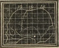 An illustration from A guide to phrenology : designed to illustrate the science of the human mind as manifested through the brain : embracing the fundamental principles of phrenology : its utility to parents and teachers in developing and educating the mental faculties of the rising generation, and of self improvement : together with the adaptation of each of the organs and a phrenological chart, in seven degrees of development with numerous combinations (1842)