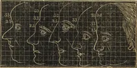 An illustration from A guide to phrenology : designed to illustrate the science of the human mind as manifested through the brain : embracing the fundamental principles of phrenology : its utility to parents and teachers in developing and educating the mental faculties of the rising generation, and of self improvement : together with the adaptation of each of the organs and a phrenological chart, in seven degrees of development with numerous combinations (1842)