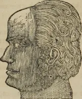 An illustration from A guide to phrenology : designed to illustrate the science of the human mind as manifested through the brain : embracing the fundamental principles of phrenology : its utility to parents and teachers in developing and educating the mental faculties of the rising generation, and of self improvement : together with the adaptation of each of the organs and a phrenological chart, in seven degrees of development with numerous combinations (1842)