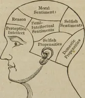 An illustration from A guide to phrenology : designed to illustrate the science of the human mind as manifested through the brain : embracing the fundamental principles of phrenology : its utility to parents and teachers in developing and educating the mental faculties of the rising generation, and of self improvement : together with the adaptation of each of the organs and a phrenological chart, in seven degrees of development with numerous combinations (1842)