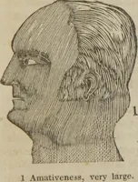 An illustration from A guide to phrenology : designed to illustrate the science of the human mind as manifested through the brain : embracing the fundamental principles of phrenology : its utility to parents and teachers in developing and educating the mental faculties of the rising generation, and of self improvement : together with the adaptation of each of the organs and a phrenological chart, in seven degrees of development with numerous combinations (1842)