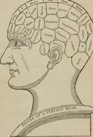 An illustration from A guide to phrenology : designed to illustrate the science of the human mind as manifested through the brain : embracing the fundamental principles of phrenology : its utility to parents and teachers in developing and educating the mental faculties of the rising generation, and of self improvement : together with the adaptation of each of the organs and a phrenological chart, in seven degrees of development with numerous combinations (1842)