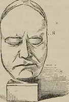 An illustration from The illustrated self-instructor in phrenology and physiology : with over one hundred engravings : together with the chart and character of ... as marked by ... (1859)