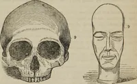 An illustration from The illustrated self-instructor in phrenology and physiology : with over one hundred engravings : together with the chart and character of ... as marked by ... (1859)