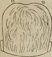 Picture 50 of 74 from The illustrated self-instructor in phrenology and physiology : with over one hundred engravings : together with the chart and character of ... as marked by ... (1859), leaf 120