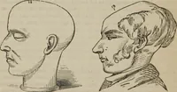 An illustration from The illustrated self-instructor in phrenology and physiology : with over one hundred engravings : together with the chart and character of ... as marked by ... (1859)